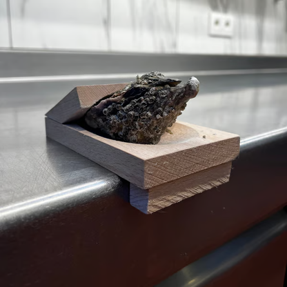 Austernöffner-Klemme