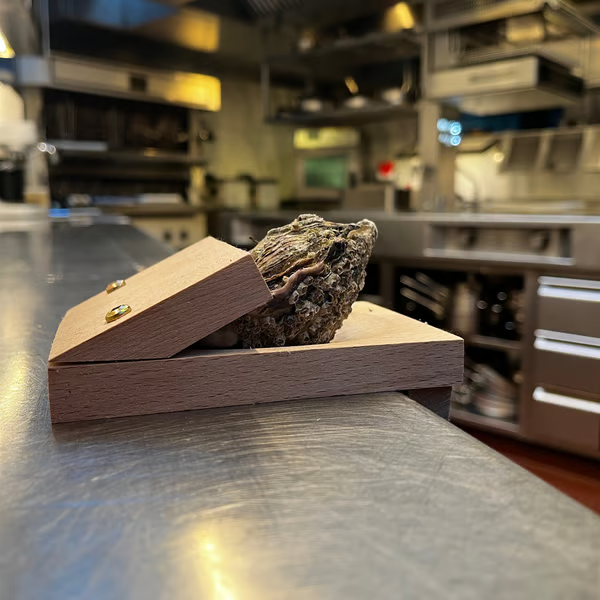 Austernöffner-Klemme