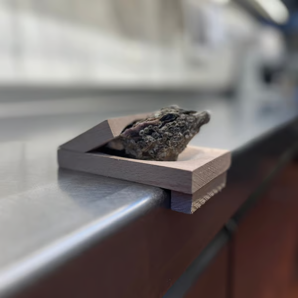 Austernöffner-Klemme