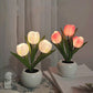 LED-Tulpen-Nachtlicht-Blumen-Tischlampe🌷✨2 kaufen, versandkostenfrei