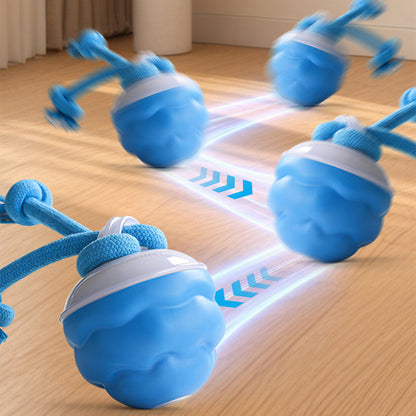 Interaktiver elektronischer Ball zur Beruhigung von Haustieren