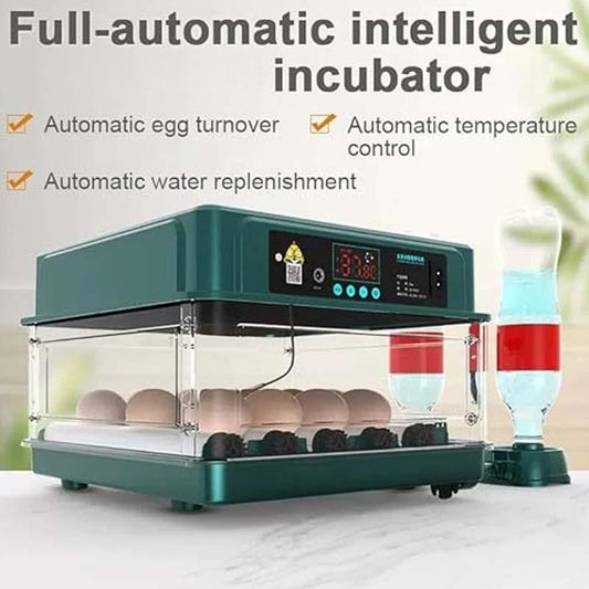 Automatischer Brutautomat – Intelligenter Eier-Inkubator für Huhn, Ente, Gans & Taube 🐣💧